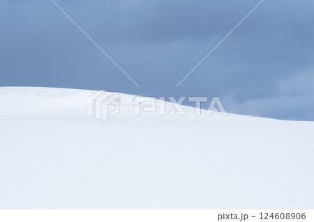 冬の鳥取砂丘の雪景色 鳥取県 鳥取砂丘 冬の鳥取砂丘の雪景色 鳥取県 鳥取砂丘 124608906