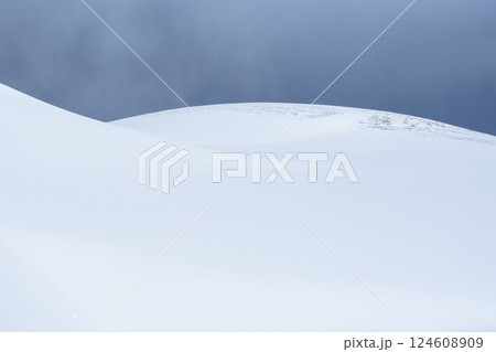 冬の鳥取砂丘の雪景色 鳥取県 鳥取砂丘 124608909