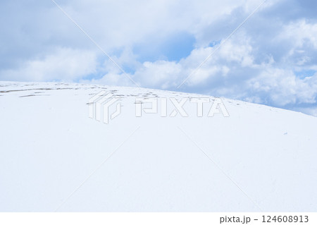 冬の鳥取砂丘の雪景色 鳥取県 鳥取砂丘 124608913