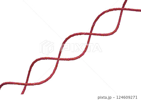 DNAの二重螺旋のイメージ DNAの二重螺旋のイメージ 124609271