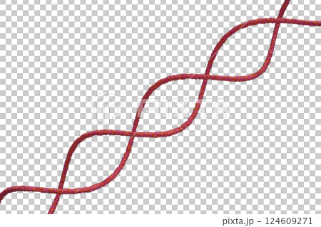 DNAの二重螺旋のイメージ DNAの二重螺旋のイメージ 124609271