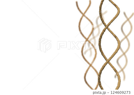 DNAの二重螺旋のイメージ 124609273
