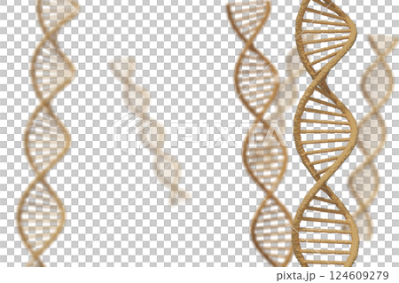 DNA 雙螺旋的圖像 124609279