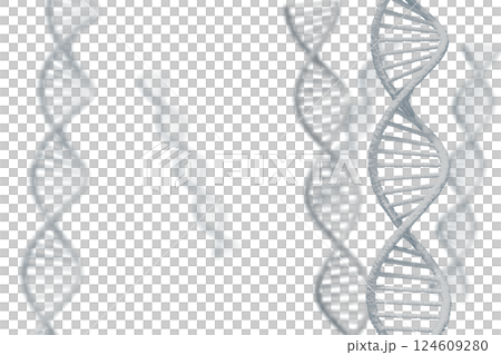 DNA 雙螺旋的圖像 DNA 雙螺旋的圖像 124609280