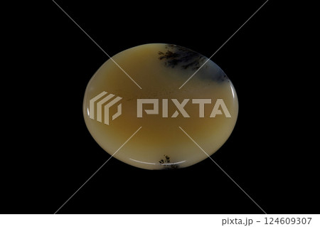 デンドリティック・アゲート 風景を宿す石 デンドリティック・アゲート 風景を宿す石 124609307