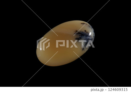 デンドリティック・アゲート 風景を宿す石 124609315