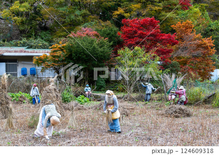 【名頃地区】天空の村・かかしの里 124609318