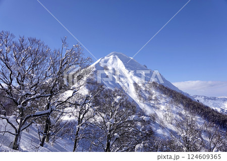 岩原スキー場リフト頂上部より冠雪した飯士山の頂を見る 岩原スキー場リフト頂上部より冠雪した飯士山の頂を見る 124609365