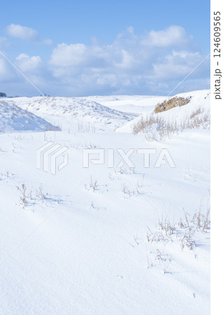 冬の鳥取砂丘の雪景色 鳥取県 鳥取砂丘 冬の鳥取砂丘の雪景色 鳥取県 鳥取砂丘 124609565