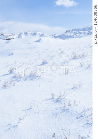 冬の鳥取砂丘の雪景色 鳥取県 鳥取砂丘 124609566