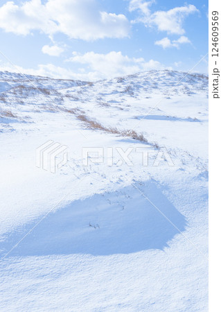 冬の鳥取砂丘の雪景色 鳥取県 鳥取砂丘 124609569
