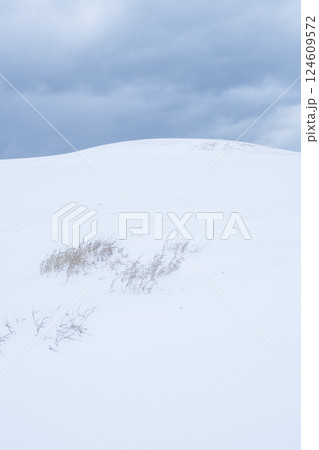 冬の鳥取砂丘の雪景色 鳥取県 鳥取砂丘 124609572