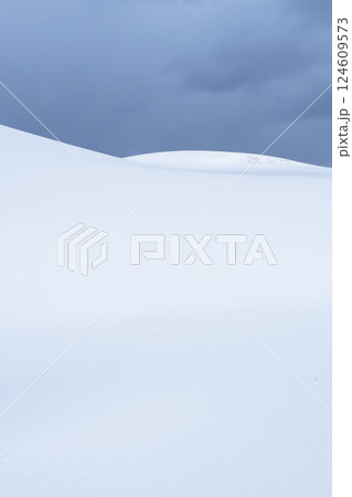 冬の鳥取砂丘の雪景色 鳥取県 鳥取砂丘 124609573