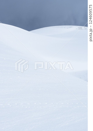 冬の鳥取砂丘の雪景色 鳥取県 鳥取砂丘 冬の鳥取砂丘の雪景色 鳥取県 鳥取砂丘 124609575