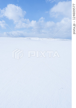冬の鳥取砂丘の雪景色 鳥取県 鳥取砂丘 124609577