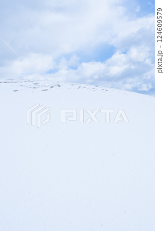 冬の鳥取砂丘の雪景色 鳥取県 鳥取砂丘 124609579