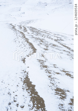 冬の鳥取砂丘の雪景色 鳥取県 鳥取砂丘 冬の鳥取砂丘の雪景色 鳥取県 鳥取砂丘 124609584