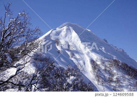 岩原スキー場リフト頂上部より冠雪した飯士山の頂を見る 岩原スキー場リフト頂上部より冠雪した飯士山の頂を見る 124609588