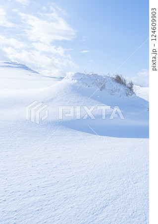 冬の鳥取砂丘の雪景色 鳥取県 鳥取砂丘 冬の鳥取砂丘の雪景色 鳥取県 鳥取砂丘 124609903