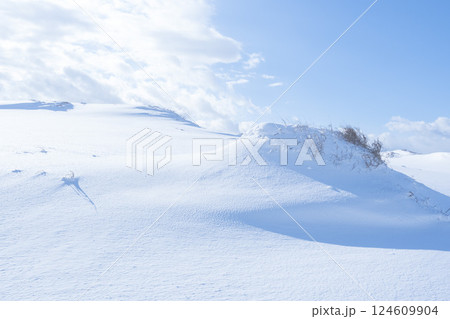 冬の鳥取砂丘の雪景色 鳥取県 鳥取砂丘 124609904