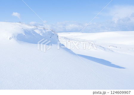 冬の鳥取砂丘の雪景色 鳥取県 鳥取砂丘 124609907