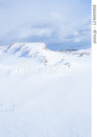 冬の鳥取砂丘の雪景色 鳥取県 鳥取砂丘 124609908