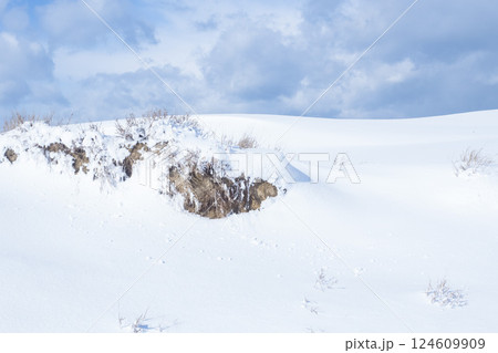 冬の鳥取砂丘の雪景色 鳥取県 鳥取砂丘 124609909