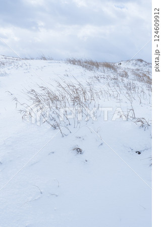 冬の鳥取砂丘の雪景色 鳥取県 鳥取砂丘 124609912