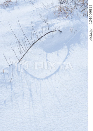 冬の鳥取砂丘の雪景色 鳥取県 鳥取砂丘 冬の鳥取砂丘の雪景色 鳥取県 鳥取砂丘 124609915