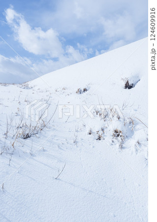 冬の鳥取砂丘の雪景色 鳥取県 鳥取砂丘 124609916