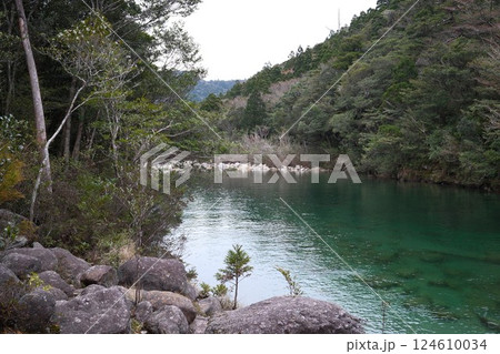 屋久島の川 124610034
