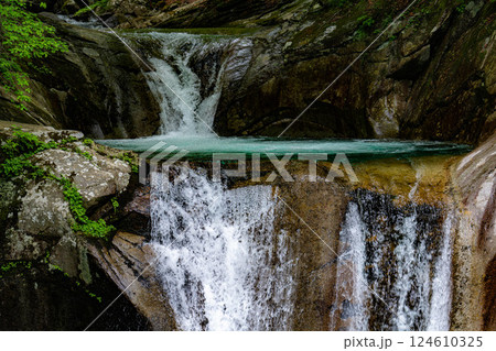 【初夏素材】新緑の西沢渓谷【山梨県】 【初夏素材】新緑の西沢渓谷【山梨県】 124610325