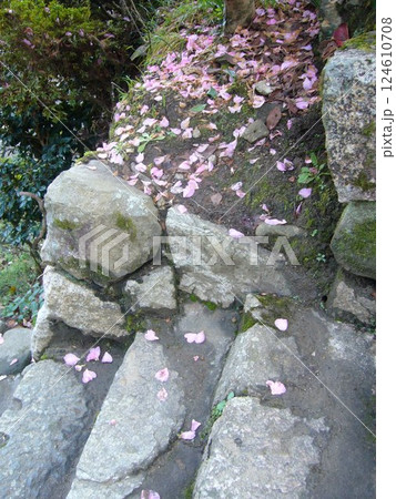 奈良 長谷寺 奈良 長谷寺 124610708