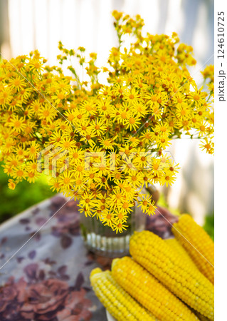 Boiled corn lies on a plate on the table along with a bouquet of yellow flowers. Sunny summer day, close-up. Boiled corn lies on a plate on the table along with a bouquet of yellow flowers. Sunny summer day, close-up. 124610725