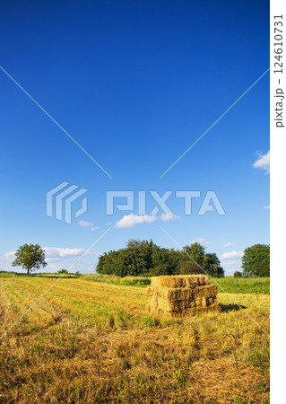 Rectangle shaped bales of straw on farmland with blue beautiful sky, harvesting. Summer sunset, warm light. Rectangle shaped bales of straw on farmland with blue beautiful sky, harvesting. Summer sunset, warm light. 124610731