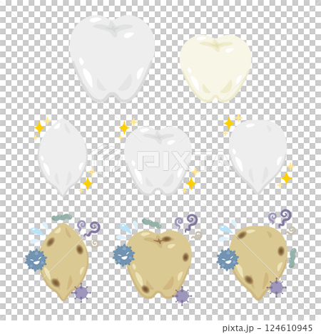 牙齒插圖集 124610945