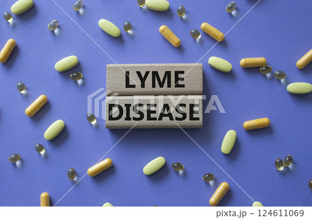 Lyme Disease symbol. Concept word Lyme Disease on wooden blocks. Beautiful purple background with pills. Medicine and Lyme Disease concept. Copy space Lyme Disease symbol. Concept word Lyme Disease on wooden blocks. Beautiful purple background with pills. Medicine and Lyme Disease concept. Copy space 124611069