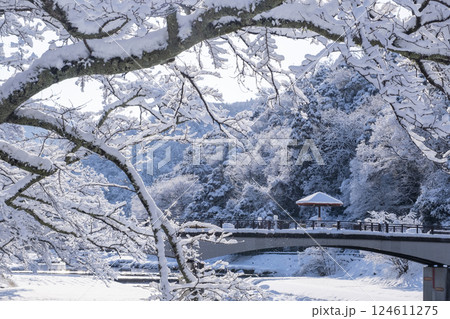 三朝温泉 の雪景色 三朝温泉 の雪景色 124611275