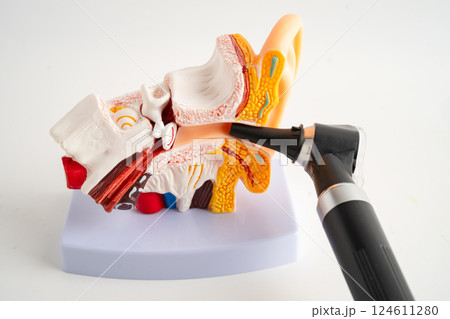 Otoscope with model for audiologist or ENT doctor use otoscope checking ear and treat hearing loss problem. 124611280