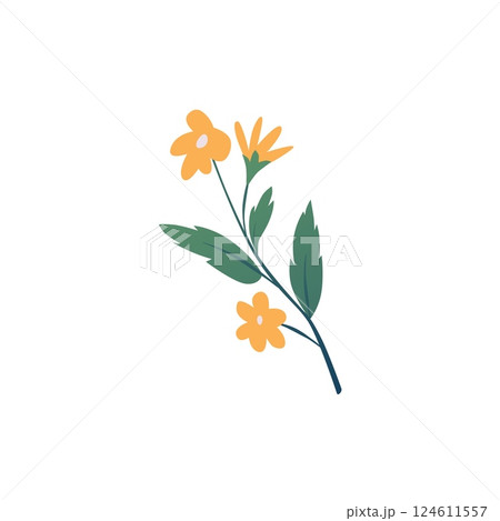 Calendula or marigold flower flat vector icon, beautiful blossom orange daisy flower on a stem, aromatherapy herb plant 124611557