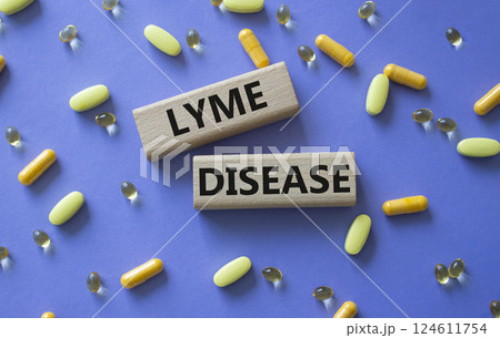 Lyme Disease symbol. Concept word Lyme Disease on wooden blocks. Beautiful purple background with pills. Medicine and Lyme Disease concept. Copy space Lyme Disease symbol. Concept word Lyme Disease on wooden blocks. Beautiful purple background with pills. Medicine and Lyme Disease concept. Copy space 124611754