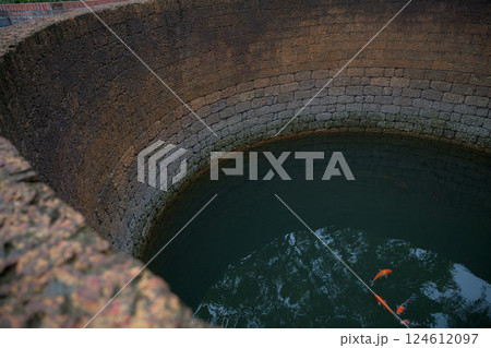 ベトナム　ハナム省のタムチュック寺院 Chùa Tam Chúc (tỉnh Hà Nam)   124612097