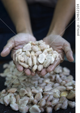 Holding Ripe Cocoa Beans In Hand Holding Ripe Cocoa Beans In Hand 124612104