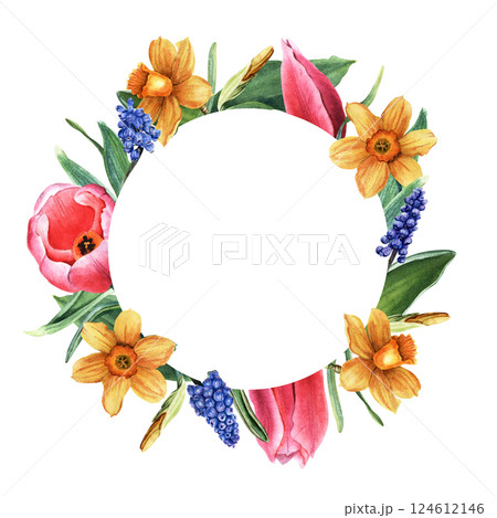 Round frame, wreath with yellow daffodils, narcissi, pink tulips and blue grape hyacinth, Muscari. Hand drawn botanical watercolor illustration isolated on white. For clipart cards invitation Round frame, wreath with yellow daffodils, narcissi, pink tulips and blue grape hyacinth, Muscari. Hand drawn botanical watercolor illustration isolated on white. For clipart cards invitation 124612146