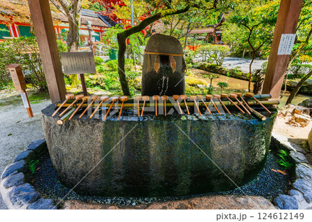 春の京都　上賀茂神社　手水舎 124612149