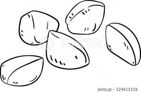 Andiroba Nuts Outline Illustration. Andiroba Nuts Outline Illustration. 124612319