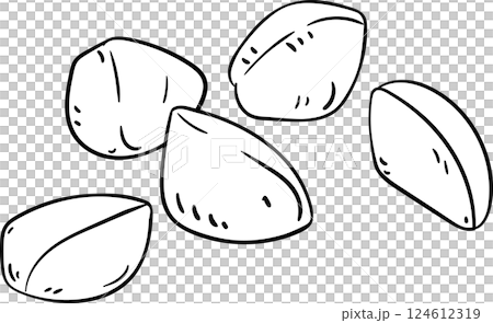 Andiroba  Nuts  Outline Illustration. 124612319