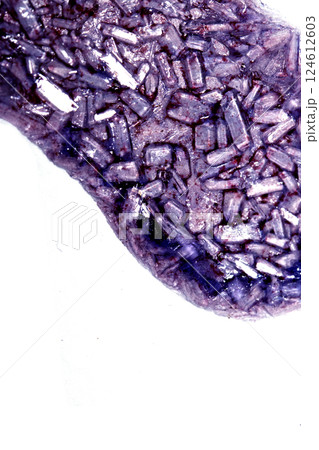 Sweet Sugary Liquid Vibrant Crystal Shard Close Up Granulated Molecule Confectionery Candy Sweet Sugary Liquid Vibrant Crystal Shard Close Up Granulated Molecule Confectionery Candy 124612603