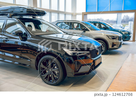 Automobiles in car service for control and problem diagnosis 124612708