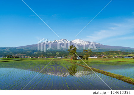 鳥海山と田んぼに映る逆さ鳥海 鳥海山と田んぼに映る逆さ鳥海 124613352